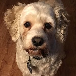 Meet your Posher, Laura